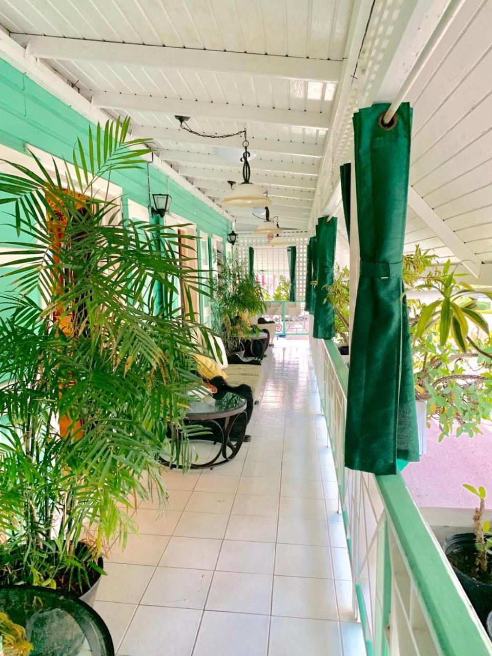 Seaview Inn Basseterre Eksteriør billede
